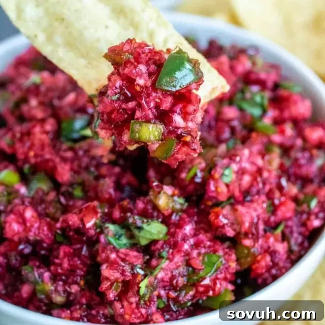 Cranberry Salsa on a chip