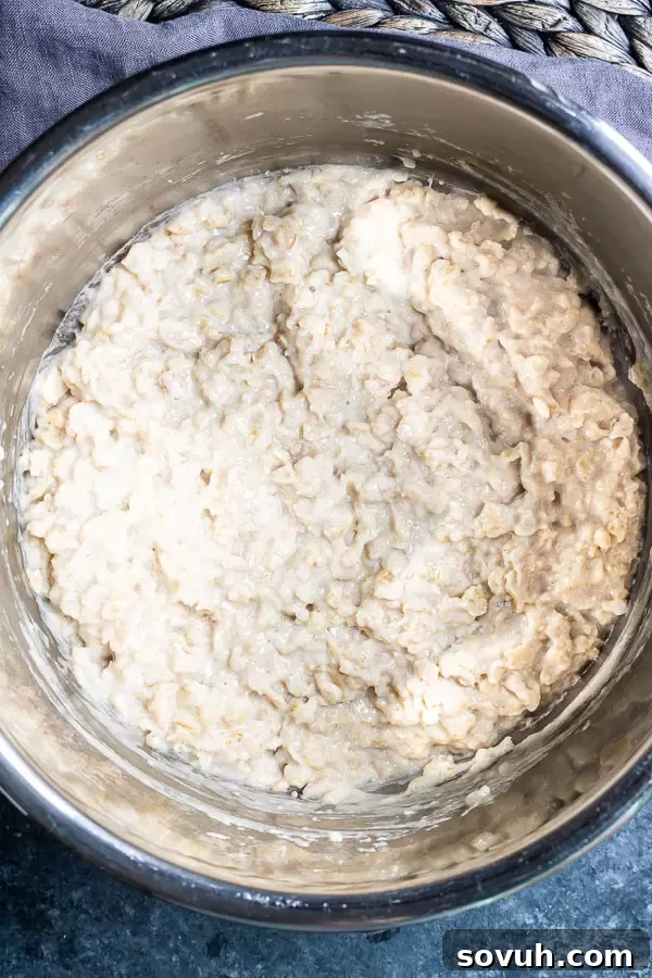 Creamy Instant Pot Oatmeal ready to be served, still inside the Instant Pot's inner pot, showing its perfect consistency.