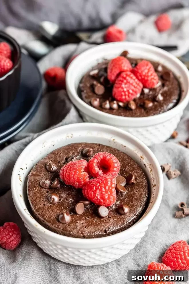 Close-up of a perfectly cooked chocolate Keto Mug Cake, rich and inviting.