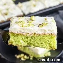 black serve with a piece of Pistachio cake
