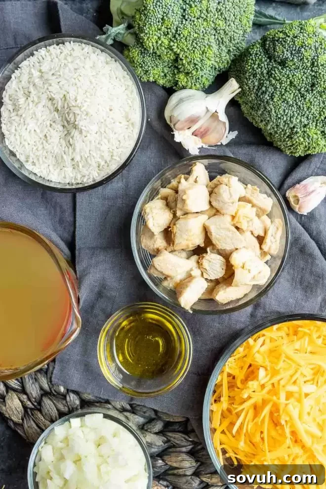Fresh ingredients laid out for Cheesy Instant Pot Chicken and Rice, including chicken, broccoli, cheese, and aromatics.