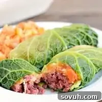 Two corned beef cabbage rolls beautifully arranged on a white plate.