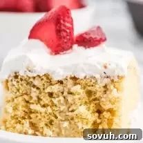 moist Mexican Tres Leches Cake