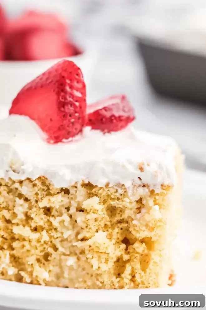 moist Mexican Tres Leches Cake