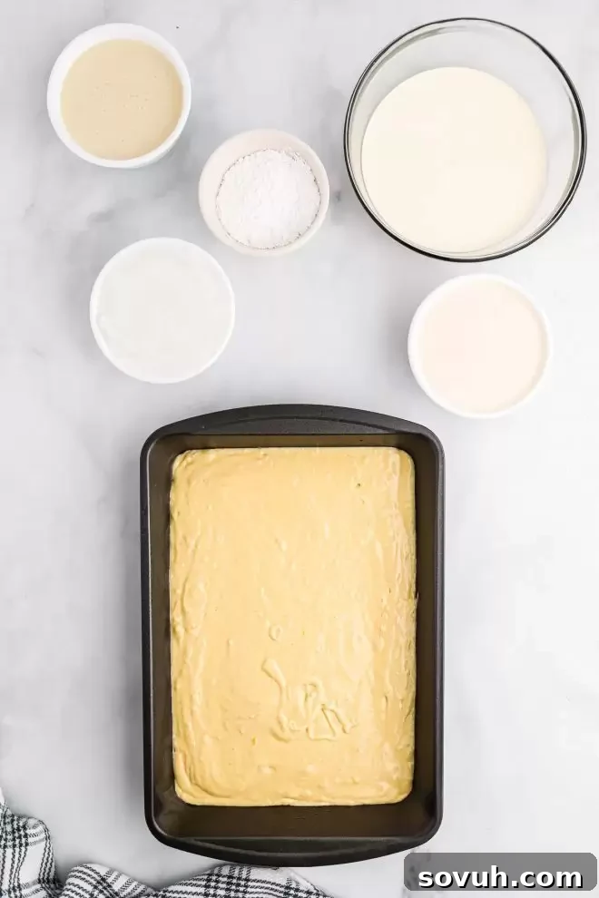 Tres Leches Cake mixture before baking