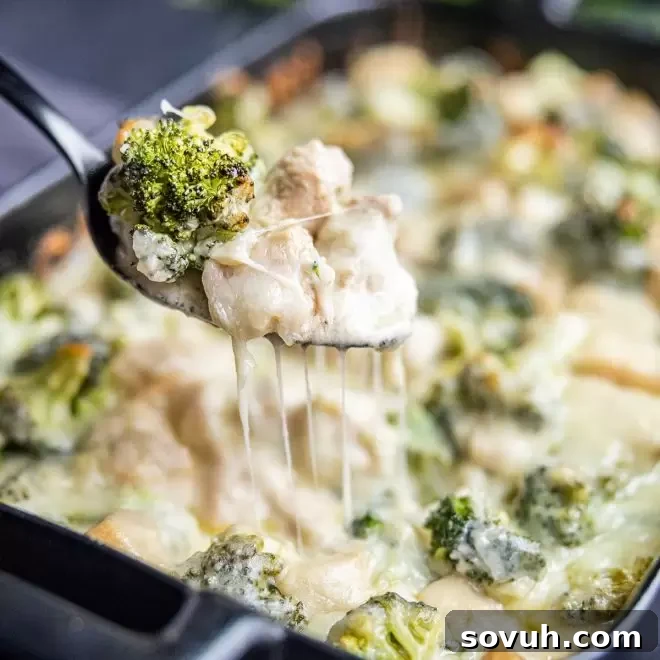 Cheesy Keto Chicken and Broccoli Alfredo Casserole baked to golden perfection