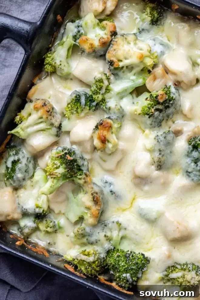 Keto Chicken and Broccoli Alfredo Casserole in a black baking dish, freshly baked