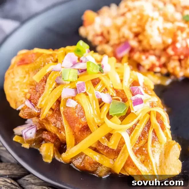 Instant Pot Salsa Chicken breast on a plate, garnished with fresh cilantro