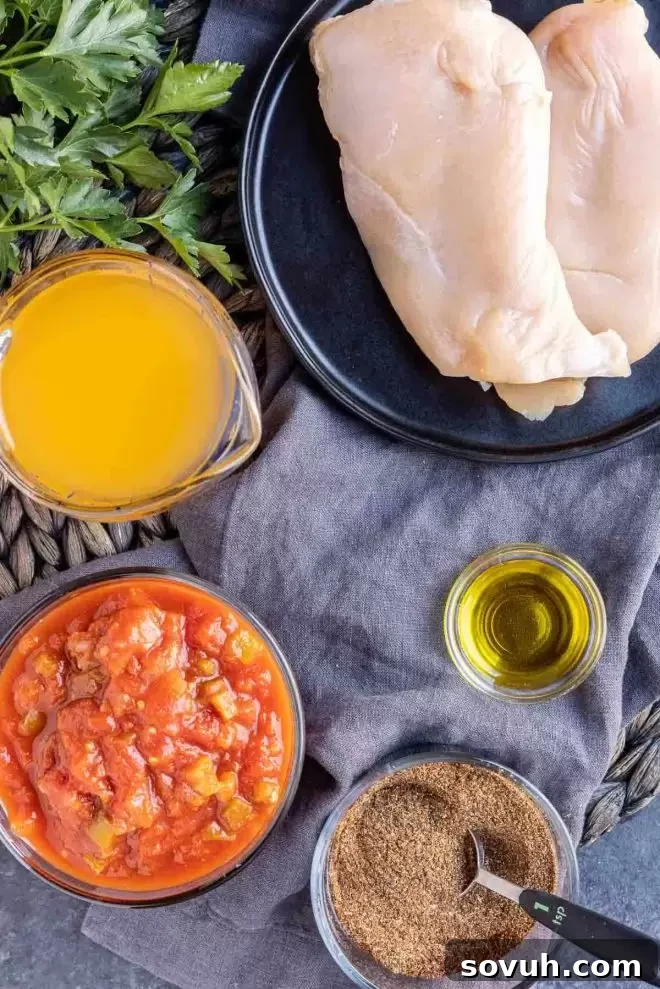 Assorted ingredients for Instant Pot Salsa Chicken laid out on a white surface