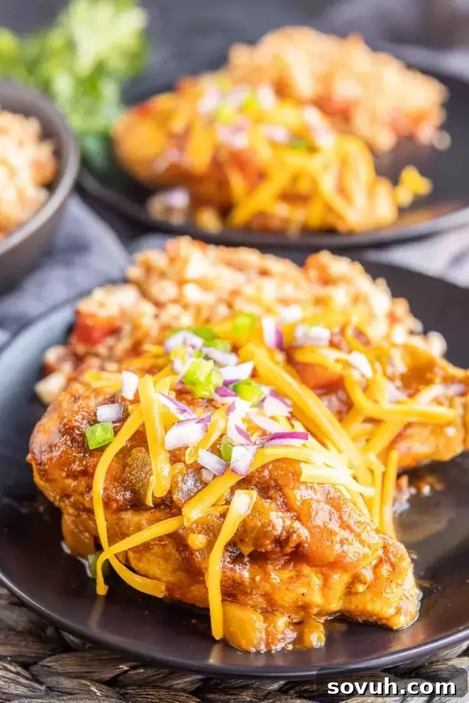 Instant Pot Salsa Chicken breast on a plate topped with melted cheese and fresh cilantro