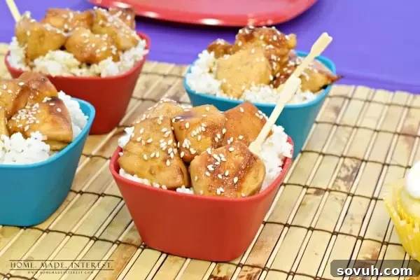 Simple and delicious San Fransokyo Teriyaki chicken rice bowl, perfect for a quick lunch or Big Hero 6 themed meal.