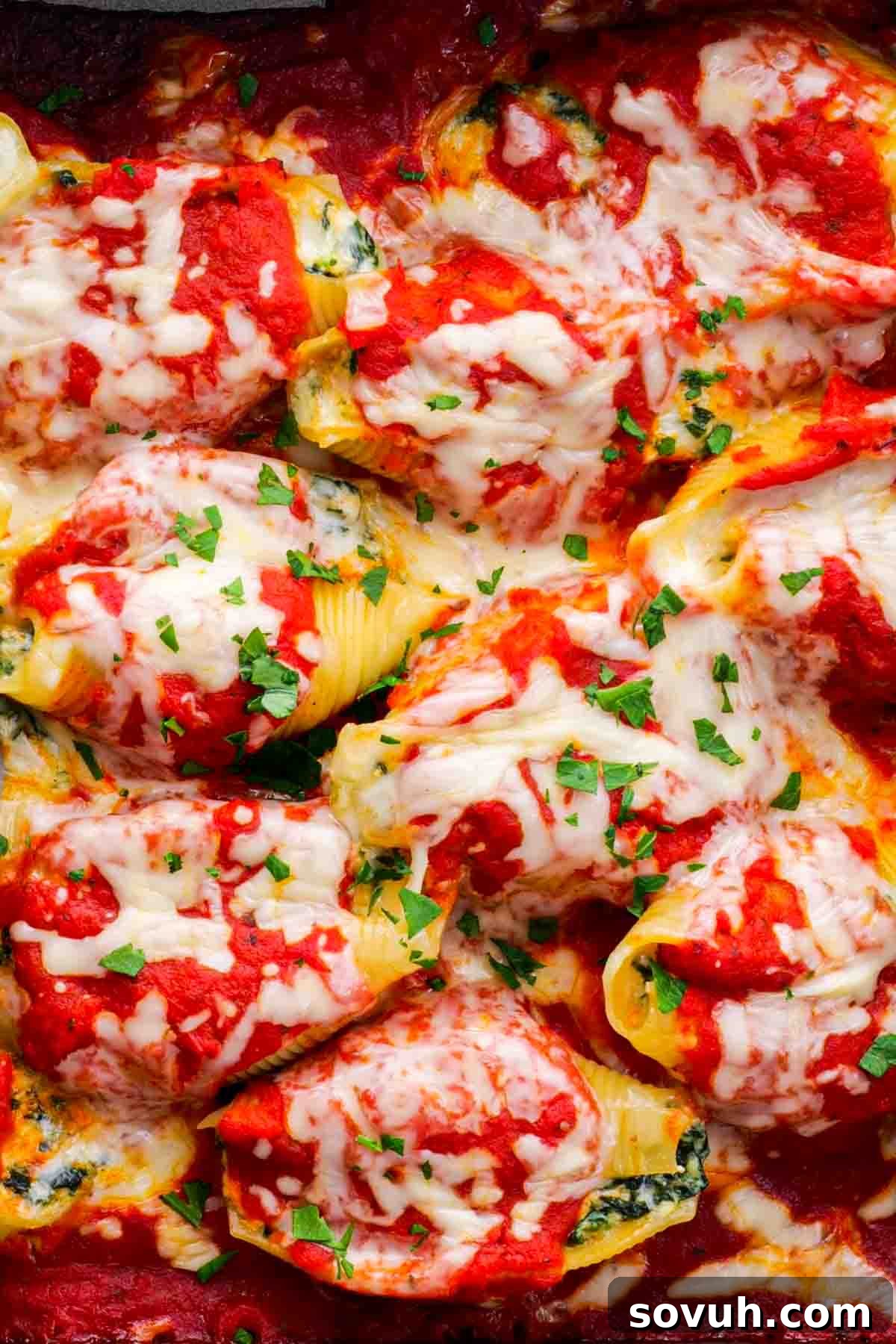 baked Stuffed Shells with marinara sauce and mozzarella