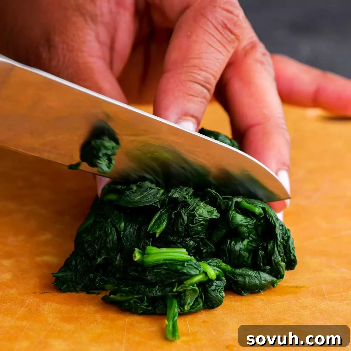 chopping up steamed spinach for Stuffed Shells