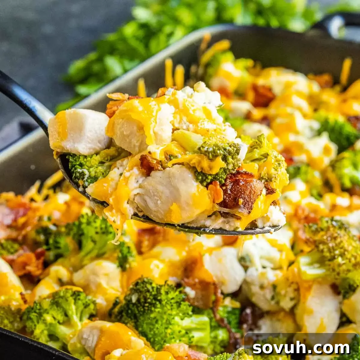 Delicious Keto Chicken Bacon Ranch Casserole served on a spoon, showcasing its creamy, cheesy texture with visible chicken, bacon, and broccoli