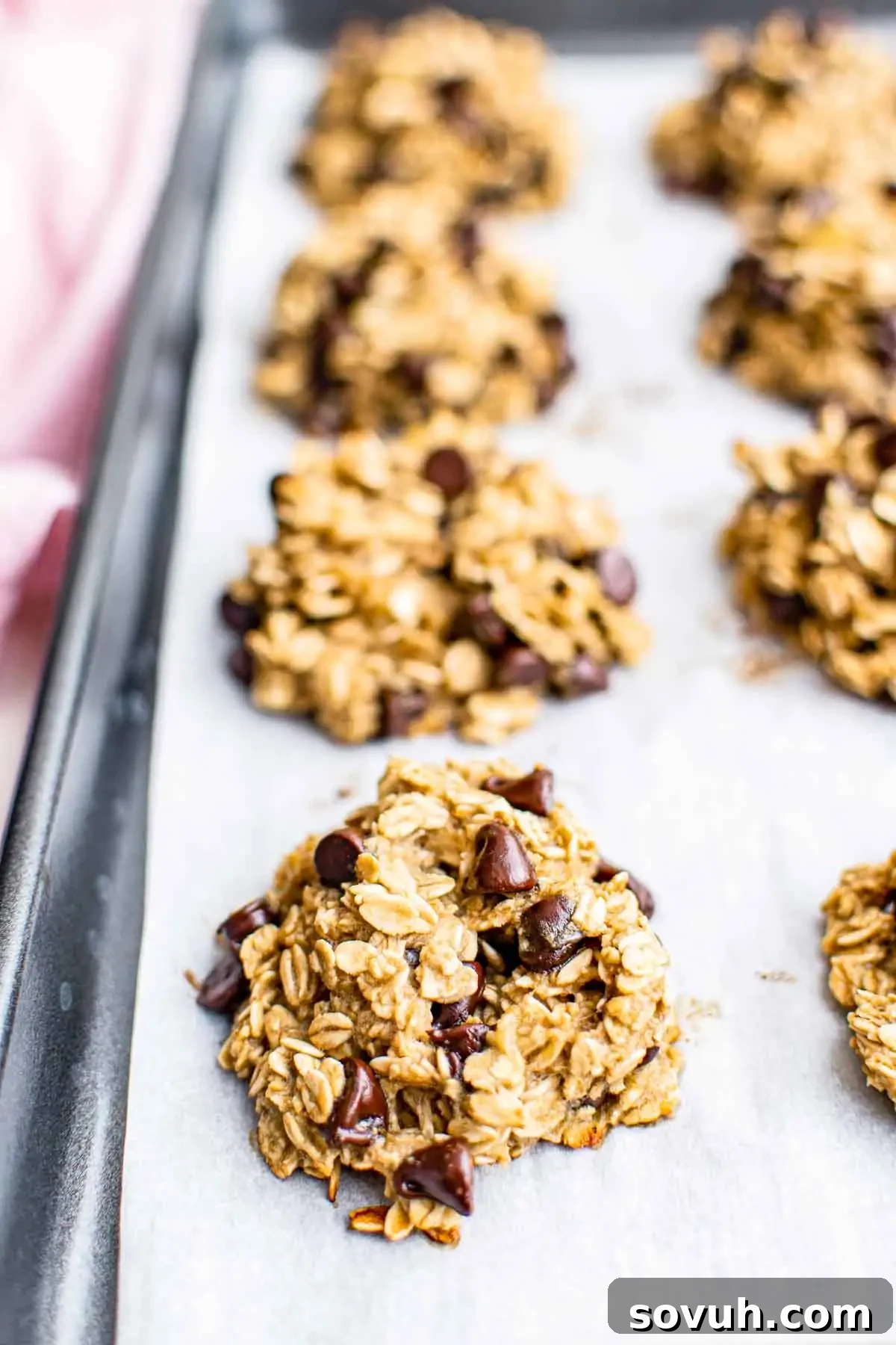 A baking tray with parchment paper holds several oatmeal chocolate chip cookies, featuring visible oats and chocolate chips, freshly baked.