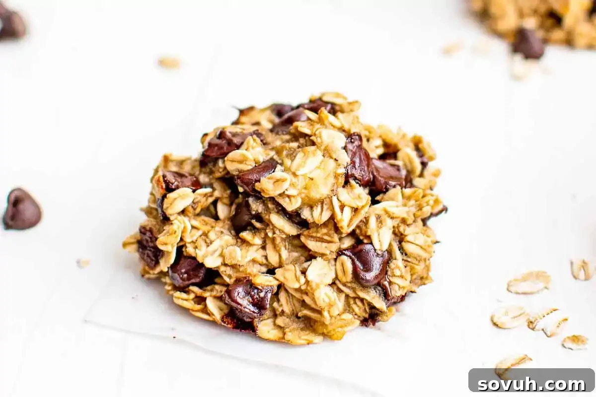 A close-up of a single oatmeal cookie with visible chocolate chips and oats on a white surface, with scattered oats and chocolate chips around it.
