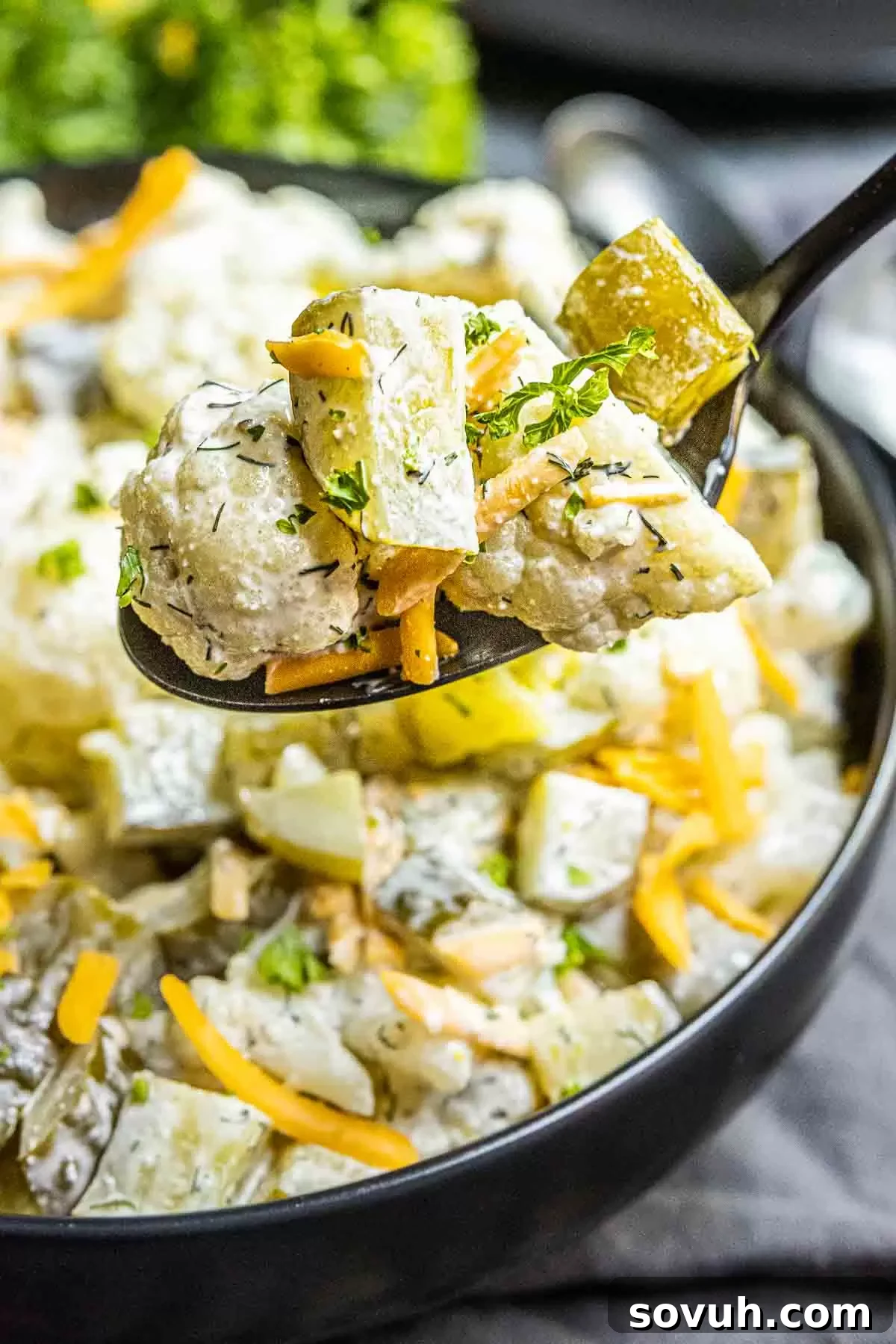 Keto Dill Pickle Salad on a black spoon