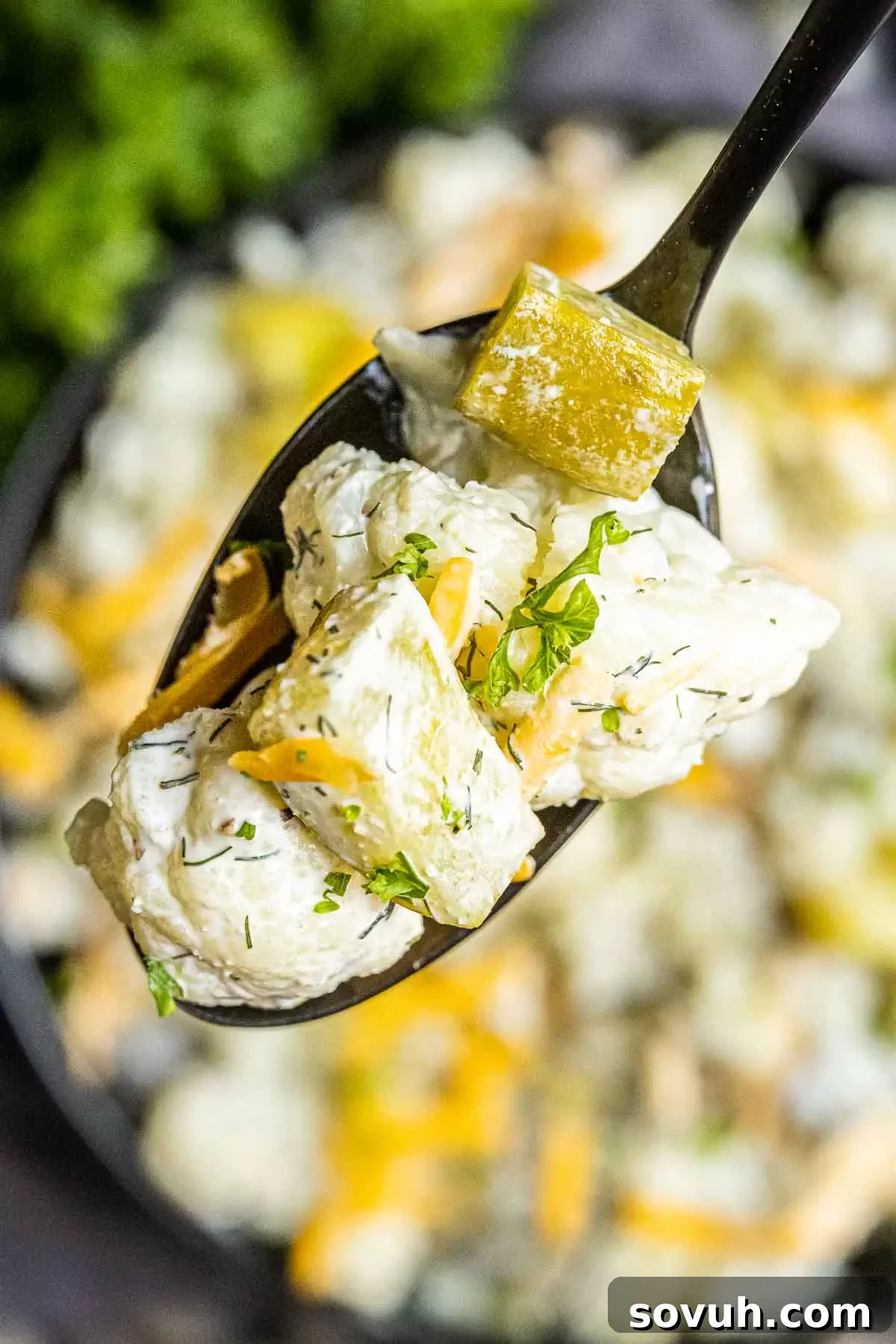 Keto Dill Pickle Salad on a black spoon