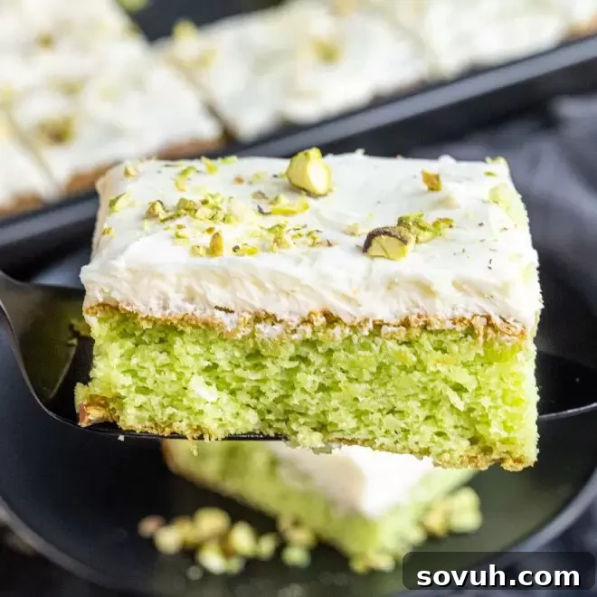 A dark serving dish holding a slice of vibrantly green Pistachio Cake, showcasing its unique color and texture.