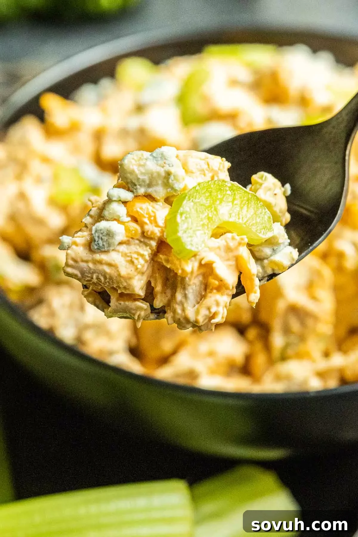 Close-up of Buffalo Chicken Salad on a black spoon, highlighting the creamy texture and pieces of chicken and celery.