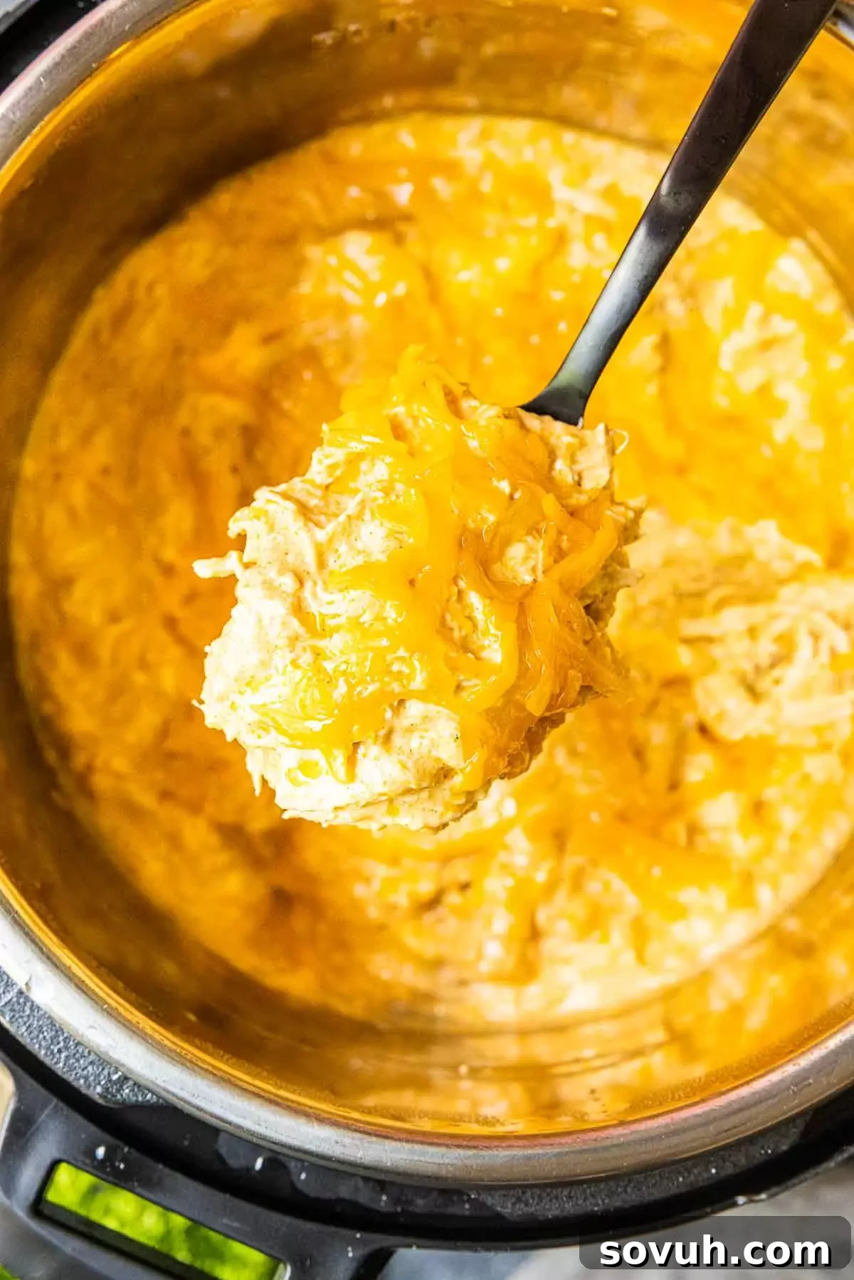 serving Instant Pot Buffalo Chicken Dip
