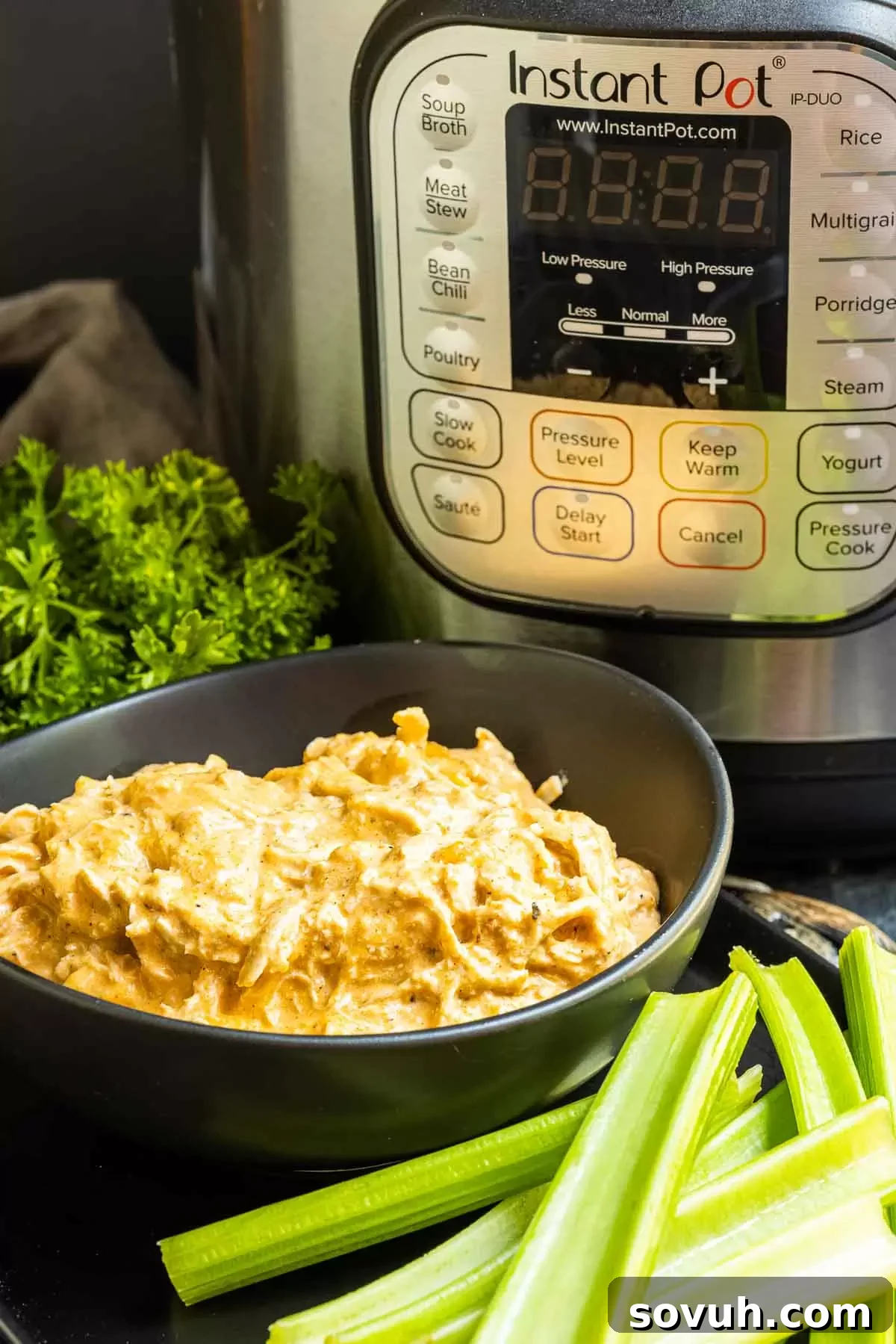 plate of celery sticks with a bowl of Instant Pot Buffalo Chicken Dip