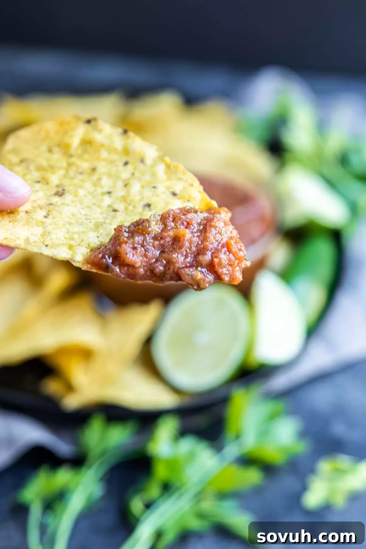 A hand holding a tortilla chip expertly dipped in homemade restaurant-style salsa, showcasing its perfect, smooth consistency.
