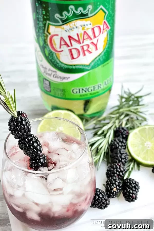 Ingredients for blackberry puree: fresh blackberries, lime juice, and corn syrup, ready for blending.