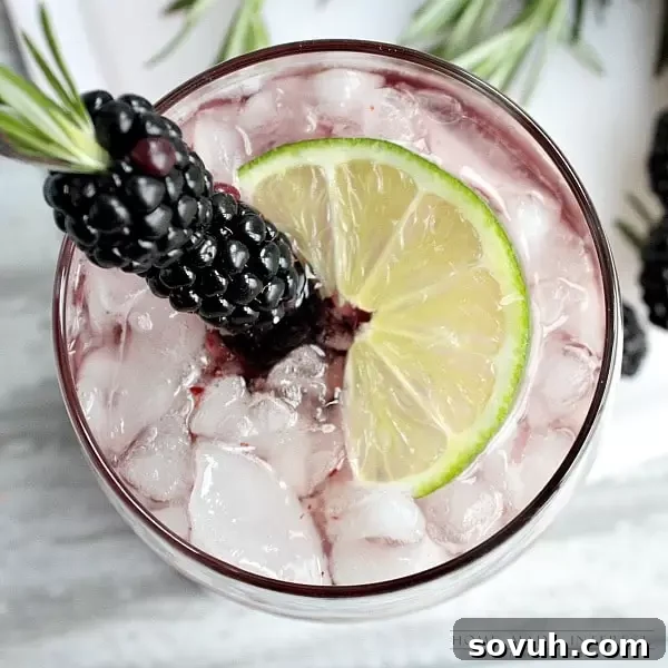 Blackberry Fizz cocktail being assembled with puree, ice, and ginger ale, showcasing vibrant colors.