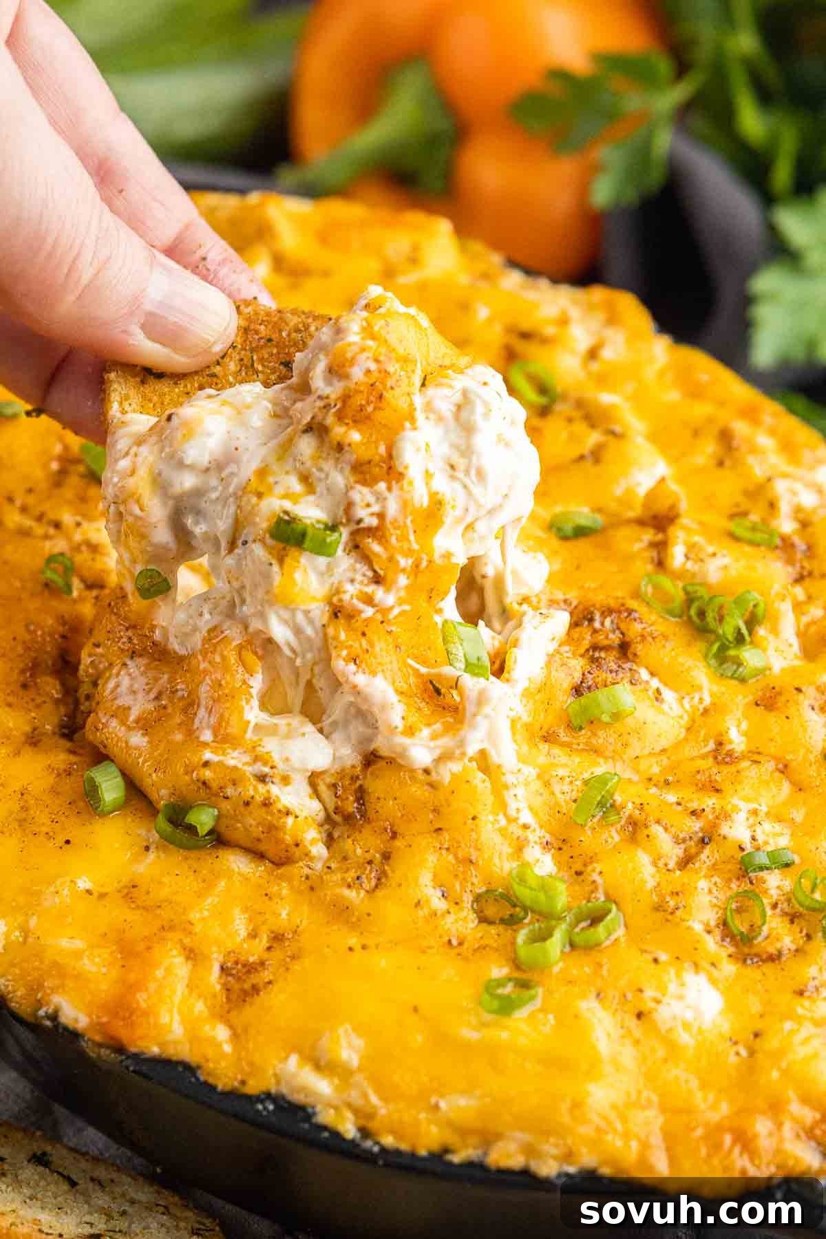 dipping into hot Maryland crab dip topped with cheese