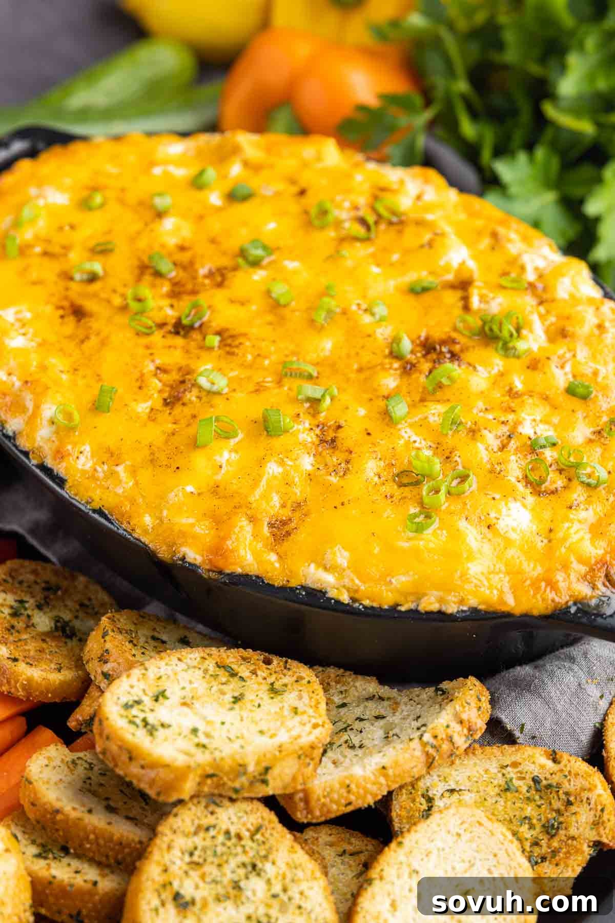 hot Maryland crab dip topped with cheese