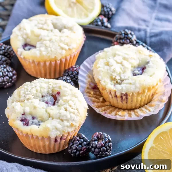A beautifully arranged plate featuring several golden-brown Blackberry Lemon Muffins, adorned with a sprinkle of crumb topping and fresh blackberries scattered around.