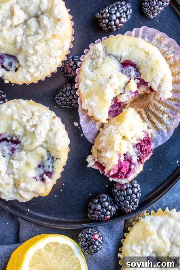 A vibrant display of Blackberry Lemon Muffins, freshly baked and garnished with whole blackberries and lemon slices, emphasizing their fresh and zesty appeal.