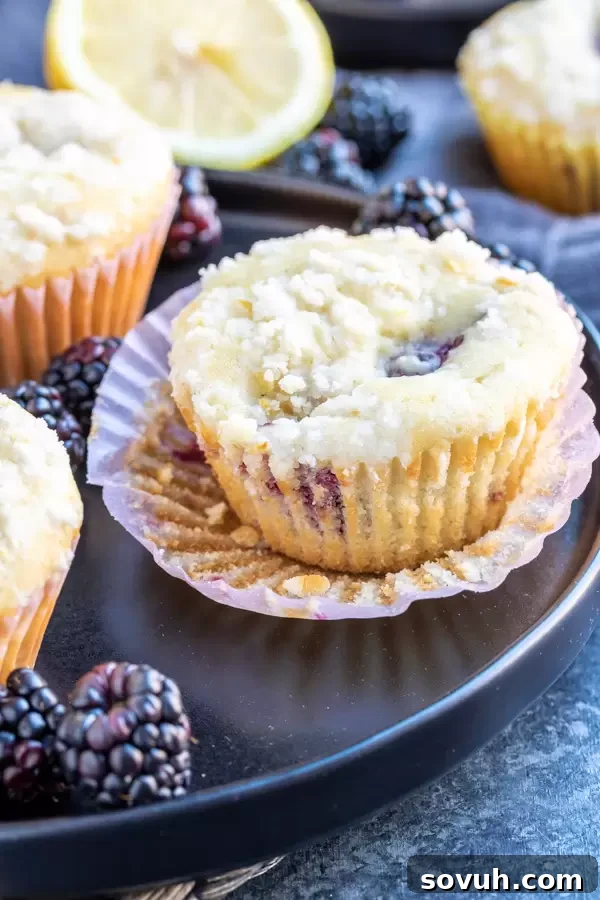 A single Blackberry Lemon Muffin, still in its paper liner, sitting on a small plate next to a scattered handful of fresh blackberries.