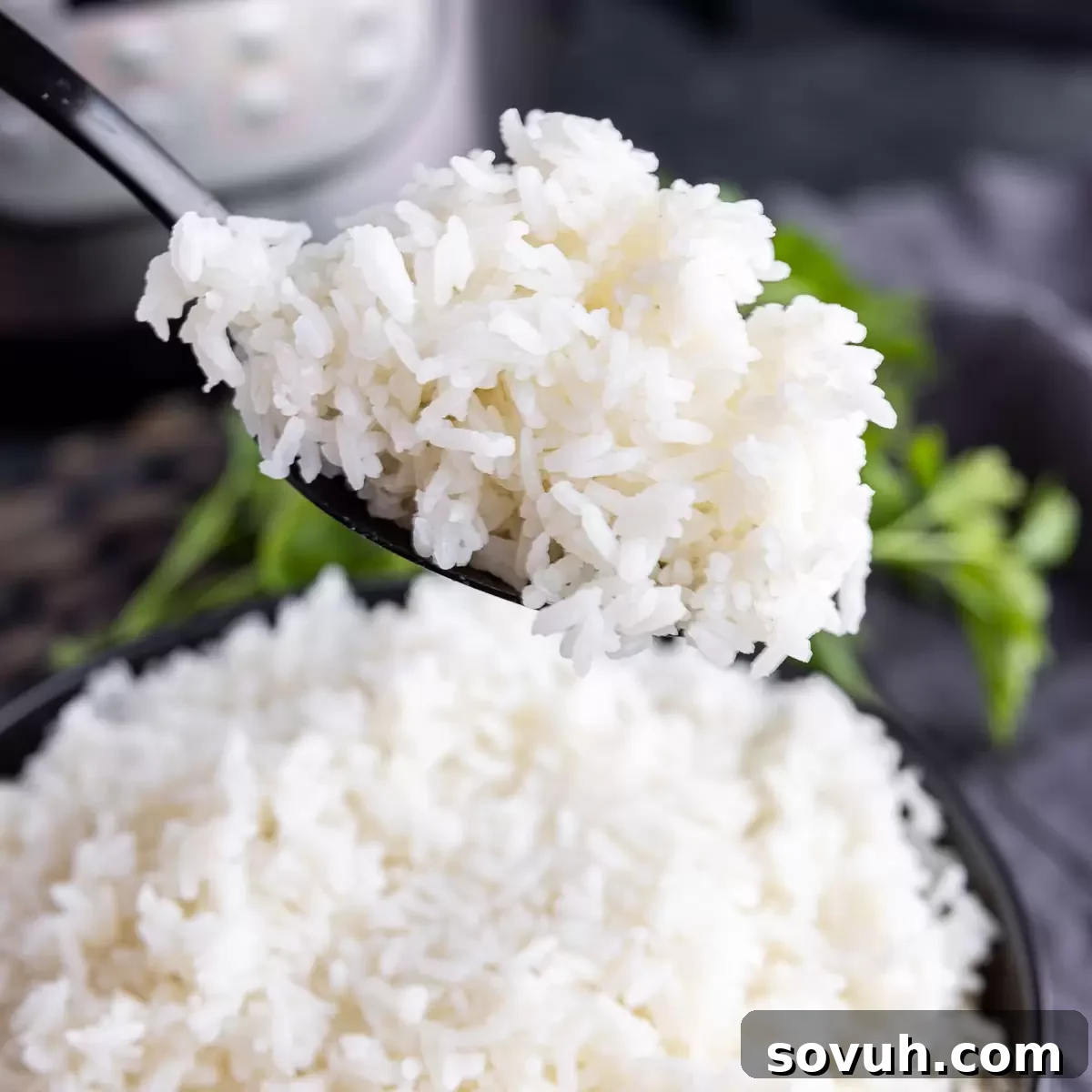 A spoon lifting perfectly cooked Instant Pot White Rice from a bowl, showcasing its fluffy texture.