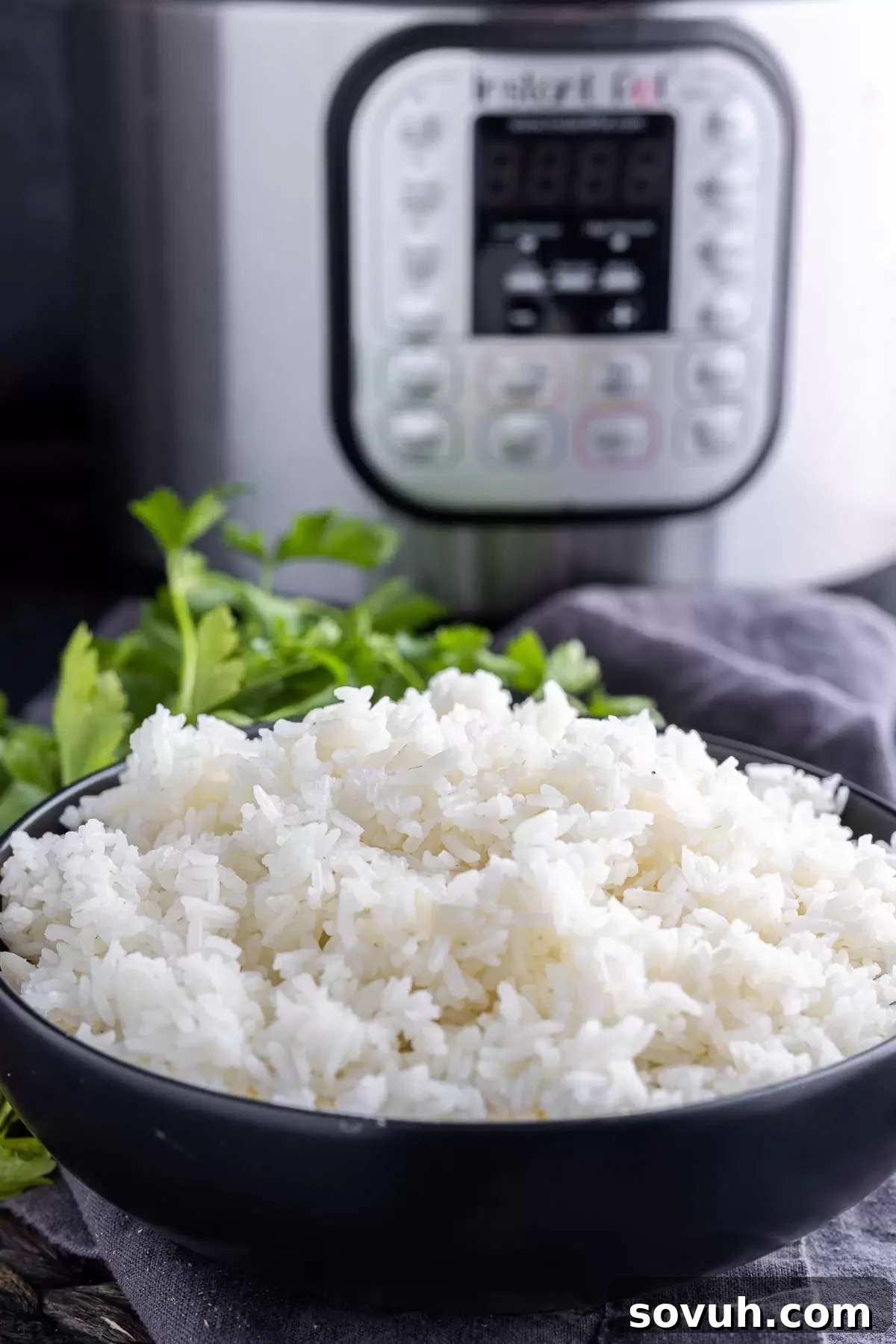 A bowl of fluffy Instant Pot White Rice next to the Instant Pot cooker, ready to be served.