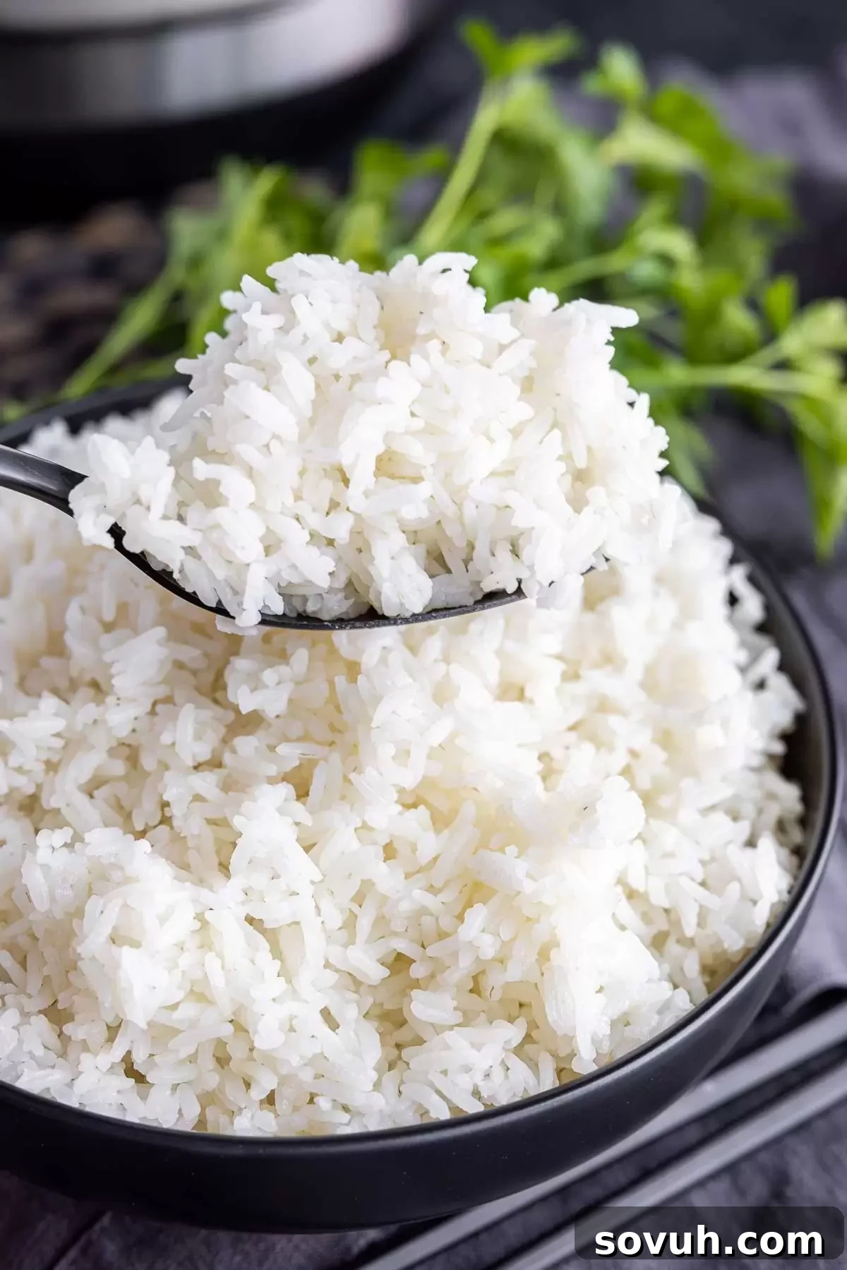 A serving of fluffy Instant Pot White Rice on a spoon, ready to be enjoyed with a meal.