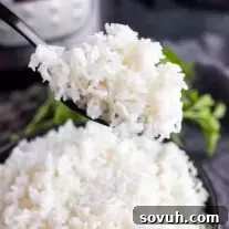 Instant Pot White Rice on a spoon