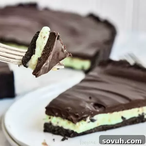 A delicious Mint Ice Cream Oreo Tart, featuring a dark Oreo crust filled with green mint chocolate chip ice cream and topped with glossy chocolate ganache.