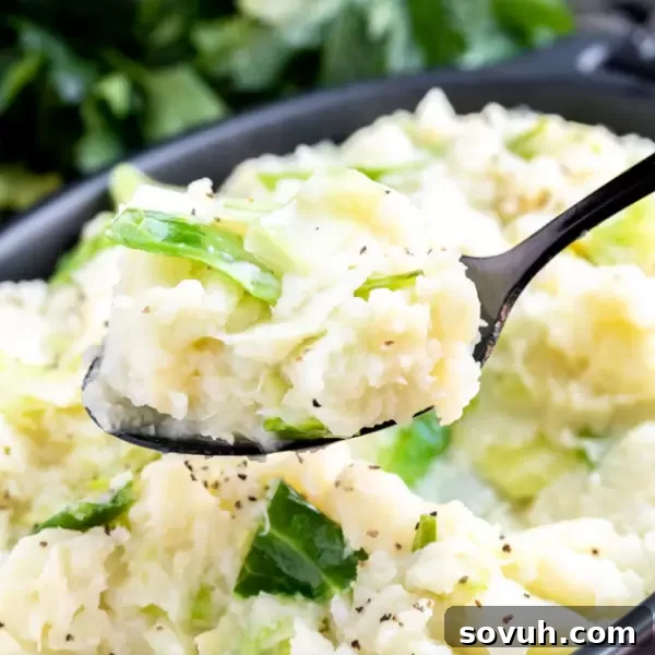 A spoon full of fluffy Keto Colcannon, ready to be enjoyed as a low-carb Irish side dish.