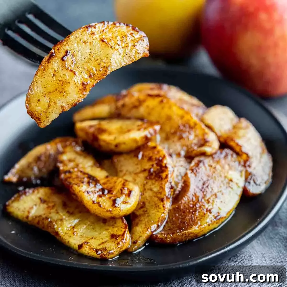 Perfectly golden-brown air fryer baked apple slices on a black fork, ready to be enjoyed.
