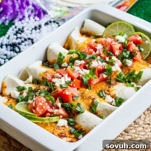 Close-up of savory beer braised beef barbacoa enchiladas