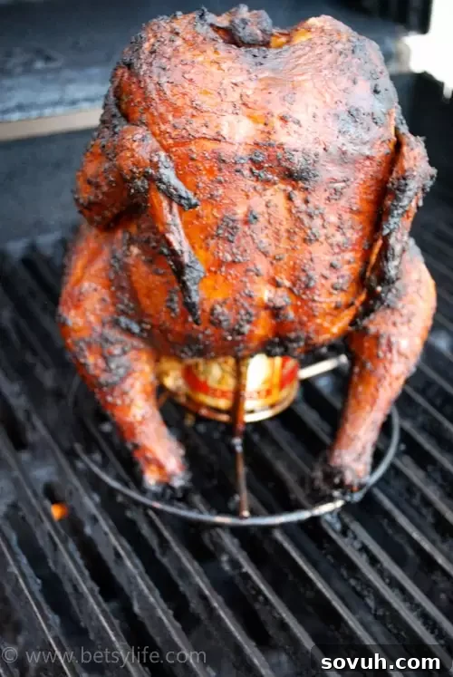 Whole Beer Can Chicken grilled to perfection, incredibly moist and flavorful.