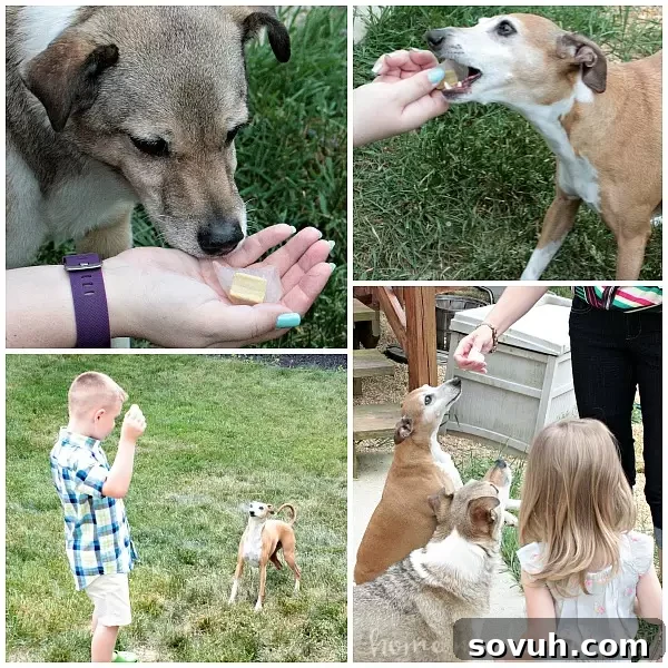 This milkshake and float bar was so fun! The kids and adults all loved picking out their favorite ice cream treats and toppings and creating their own milkshake or float. It was a great idea for an ice cream party.