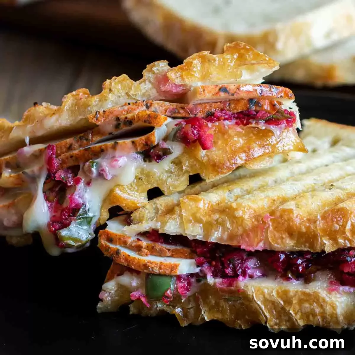 Turkey and Cranberry Panini on a plate cut in half