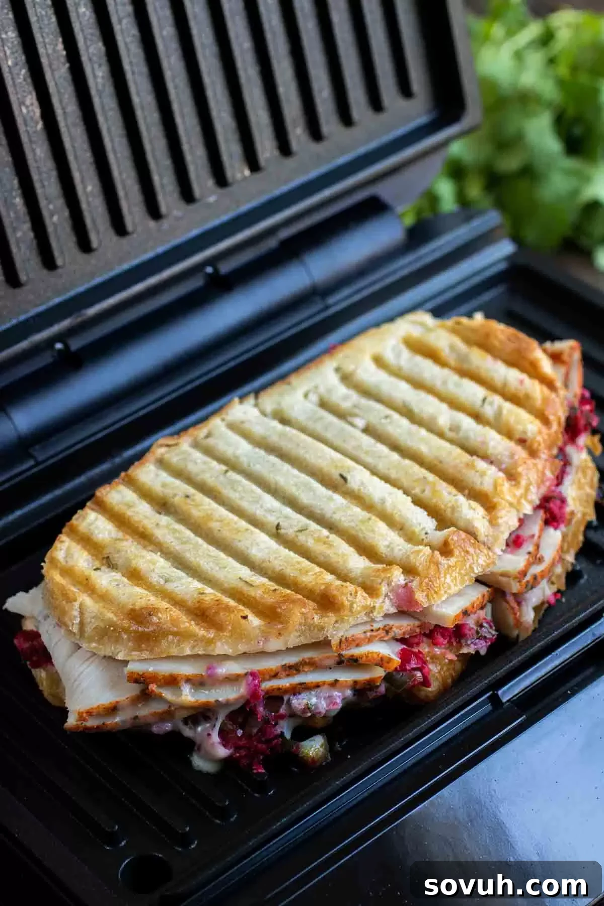 Turkey and Cranberry Panini in panini press