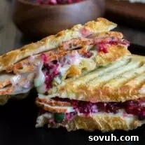 cut Turkey and Cranberry Panini on a plate