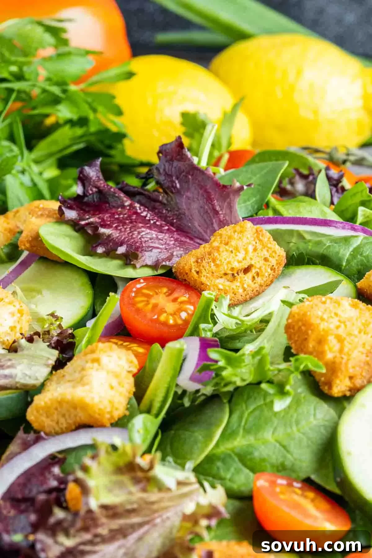 Close up of mixed green salad with a variety of textures and colors