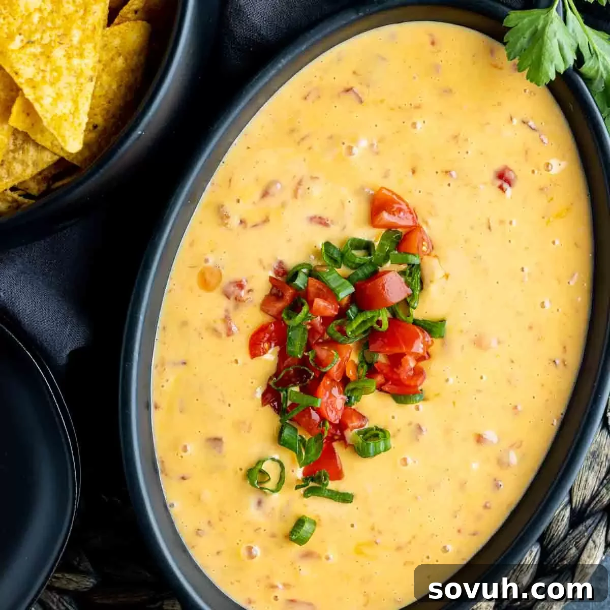 Rotel Dip made with Velveeta cheese in a black bowl topped with diced tomatoes and green chilies, ready to be served with tortilla chips.