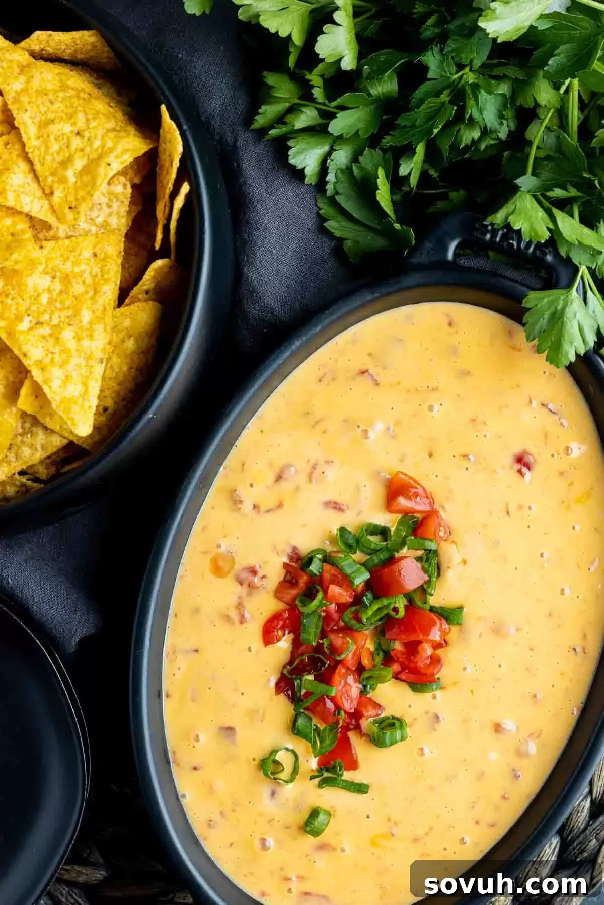 A communal bowl of Rotel Dip served with a pile of crispy tortilla chips, inviting guests to dig in.